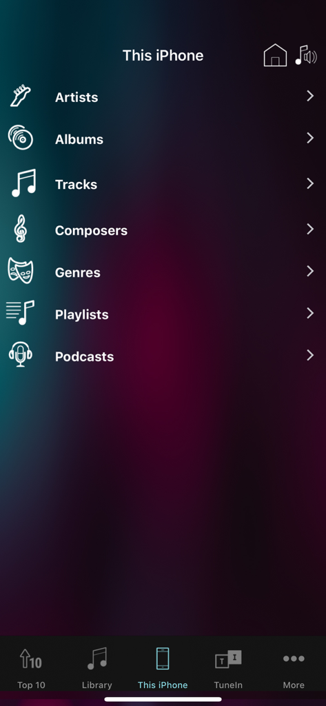 Nuvo Player - Schermata delle categorie della libreria musicale dell'app Nuvo Player su un iPhone