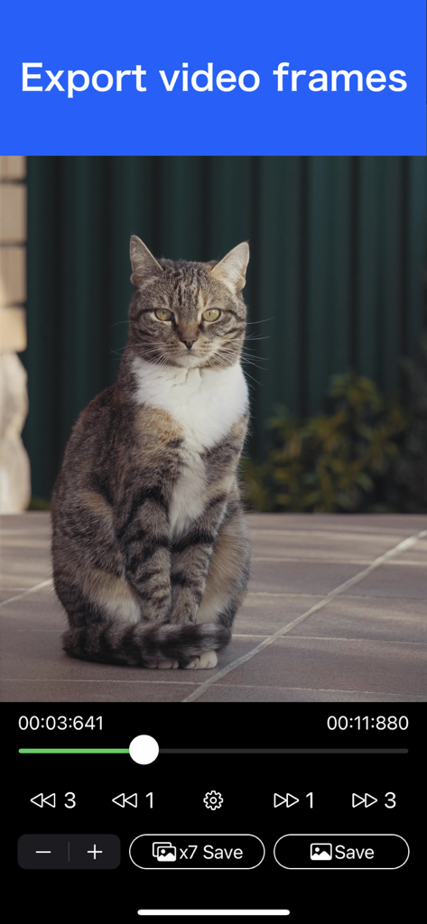 Video to Photo - Grab HD Pic - Interface of the Video to Photo app showing frame selection for a video of a cat