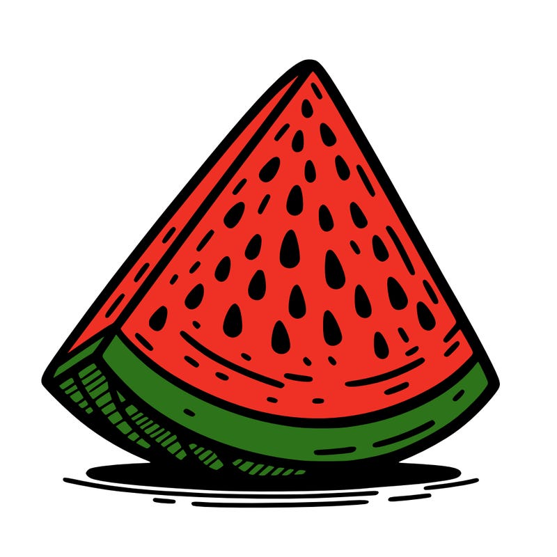 a wedge of watermelon