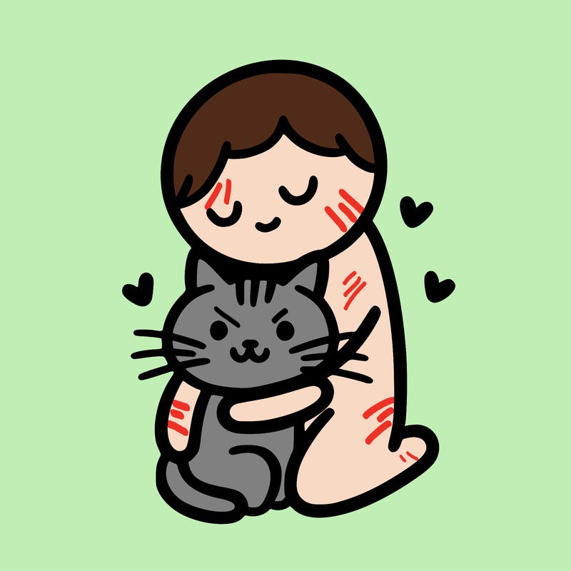 human hugging cat