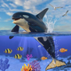 Orca Killer Whale Simulator