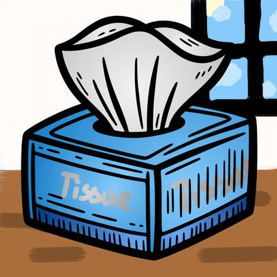 a tissue box
