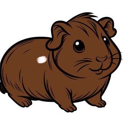 guinea pig