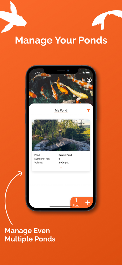 KoiControl app interface for managing multiple koi ponds and tracking fish count and volume