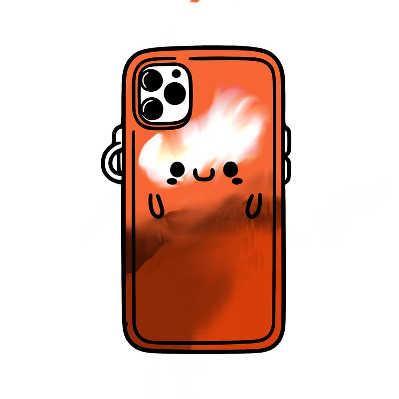 phone case