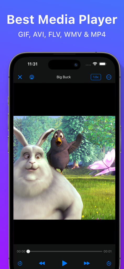 MaxVault - Photo & Video Vault - MaxVault media player interface playing a video on an iPhone with support for multiple formats like MP4 and AVI.