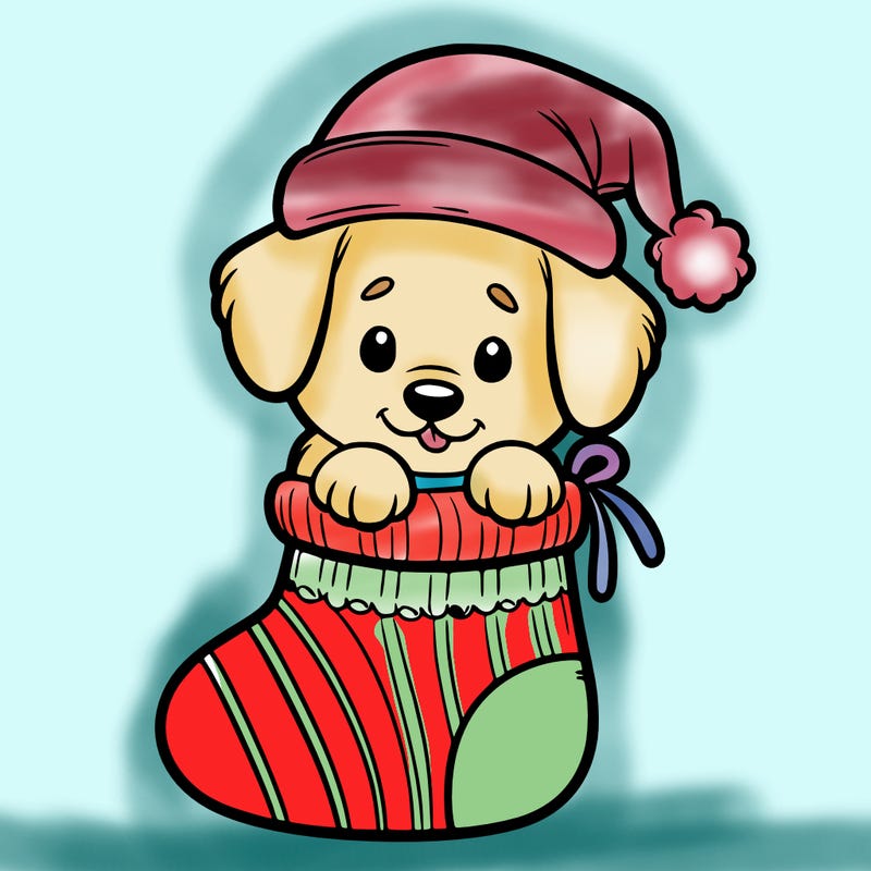 cute puppy wearing santa hat in socking