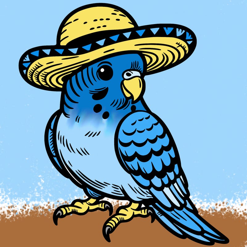 parakeet bird with hat