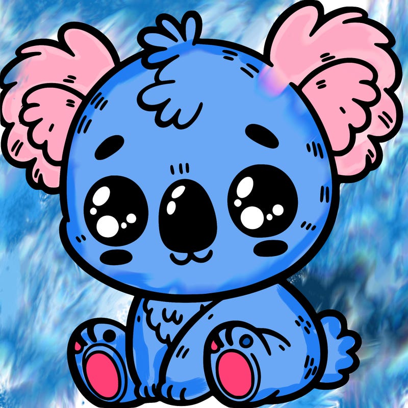 cute koala