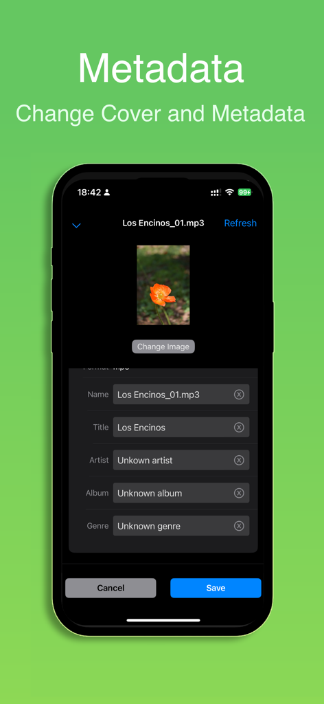 Any MP3 Player - Offline Music - Interface for editing song metadata and album covers in the Any MP3 Player app.