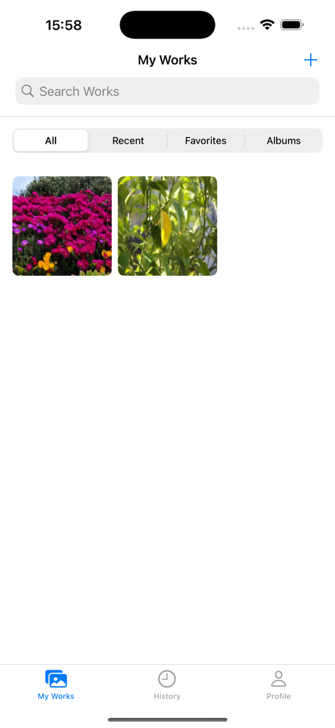 Reticpic app My Works gallery displaying a grid of edited photos and a search bar