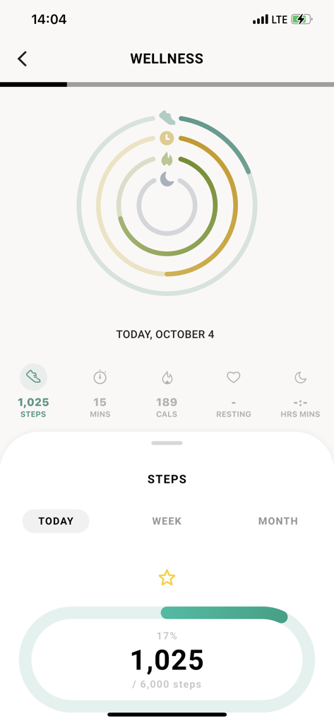 Michael Kors Access - Michael Kors Access app wellness screen showing activity rings and daily step count