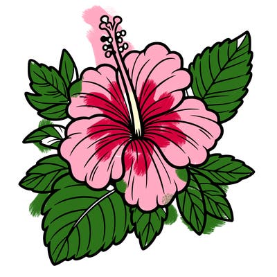 hibiscus flower