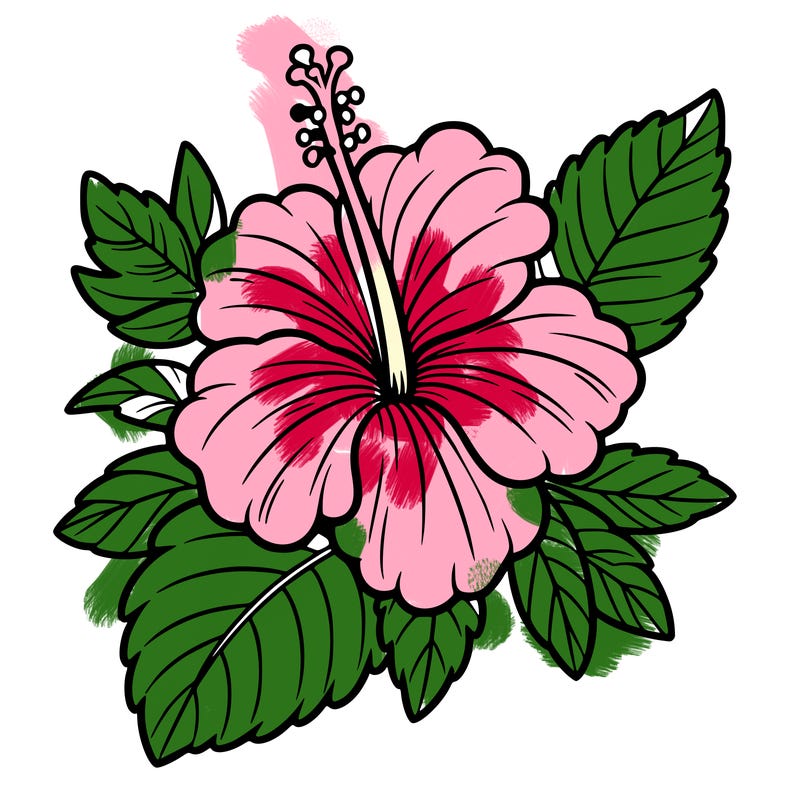 hibiscus flower
