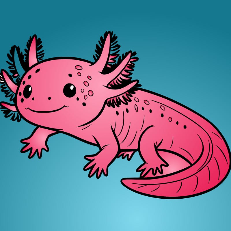 axolotl