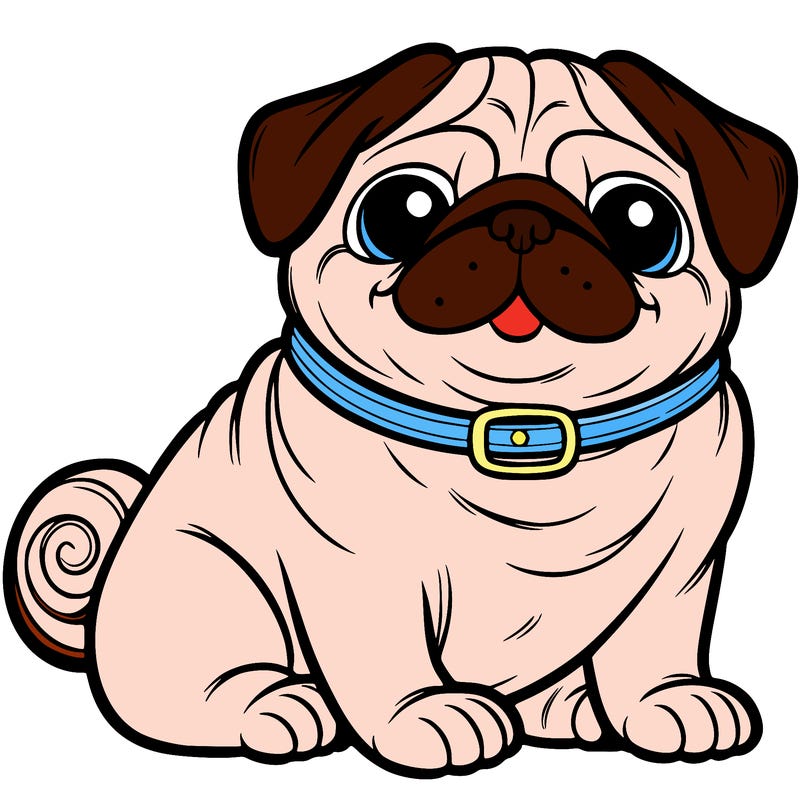 pug