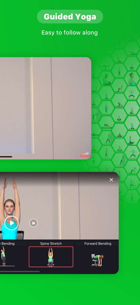 Seniors Yoga @ Graceful Aging - Guided yoga video interface showing a seated spine stretch pose for seniors