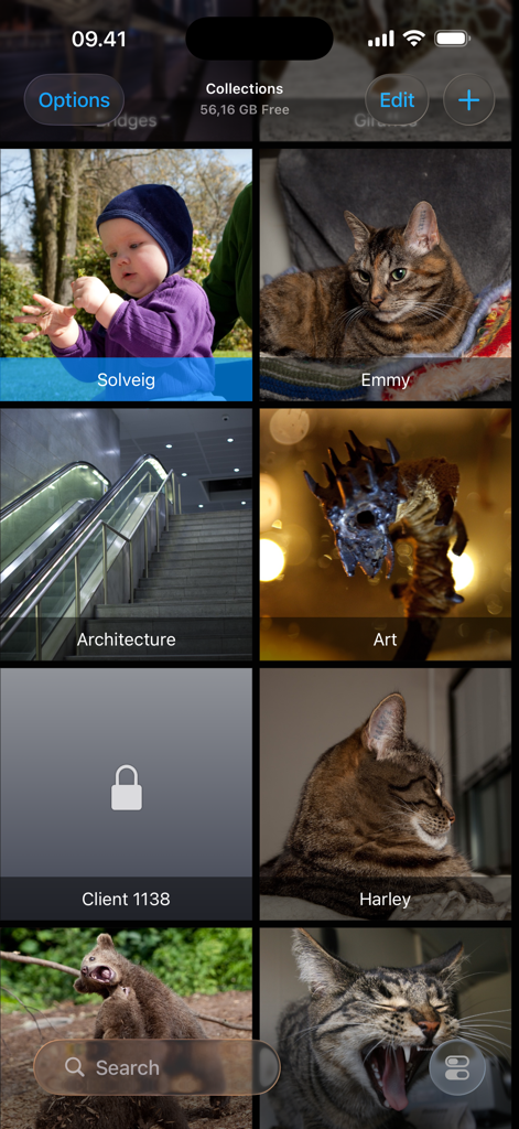 Interface of the ShutterSnitch app showing a grid of organized photo collections and albums