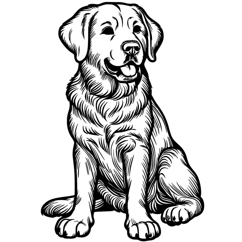 realistic adult dog sitting down