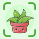 Plant Identifier + Plant Care