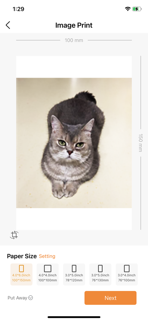 RT Elabel app interface for printing a custom image with multiple label size selections