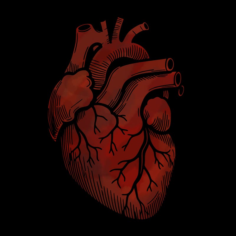 a realistic human heart