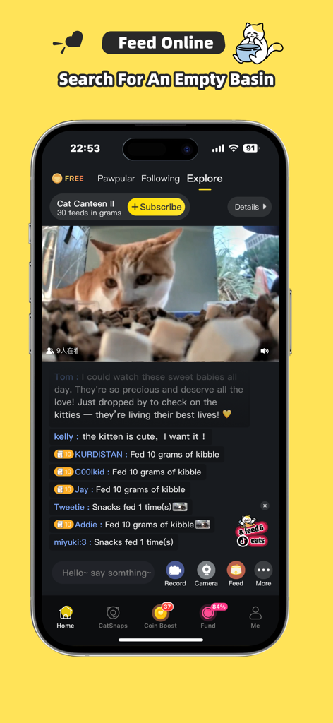 Purrrr-Feed&Rescue Stray Cats - Livestream einer streunenden Katze, die im Purrrr-App Trockenfutter frisst, mit Benutzerkommentaren und Futterbenachrichtigungen.