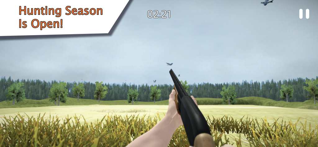 First person shotgun view of birds flying over a field in a hunting simulator