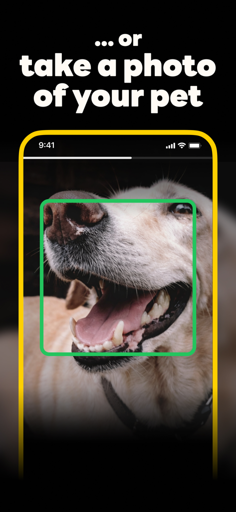 A smartphone showing the SuperAlarm app interface with a mission to take a photo of a pet to turn off the alarm