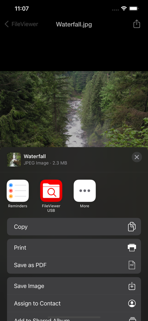 FileViewer USB for iPhone - Interfaz mostrando opciones de gestión de archivos incluyendo Imprimir y Guardar como PDF para una imagen en FileViewer USB