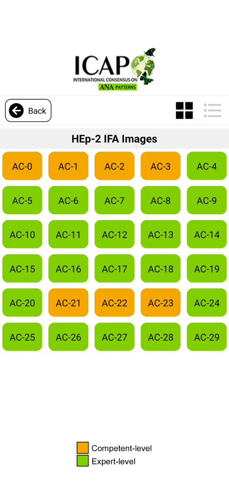 Una cuadrícula de códigos de imágenes de IFAs ANA que van desde AC-0 hasta AC-29 categorizados por niveles de competencia