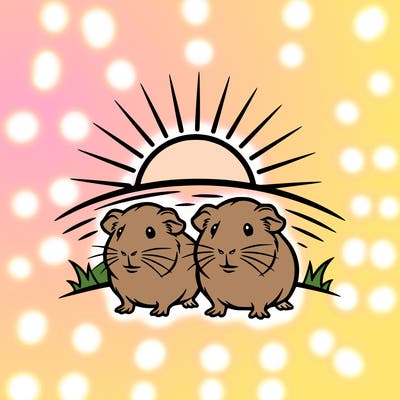 tow guinie pigs infront of a sunset