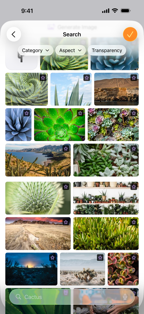 Interfaccia di ricerca immagini dell'app Pages che mostra una griglia di foto di cactus.