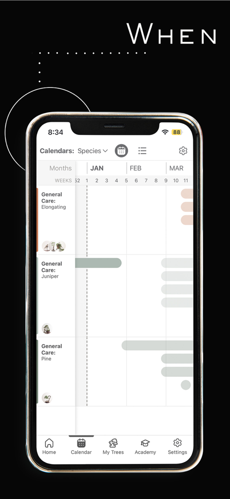 Mirai Mobile - Mirai Mobile App-Oberfläche, die einen artenspezifischen Bonsai-Pflegekalender mit wöchentlichen Wartungsaufgaben zeigt