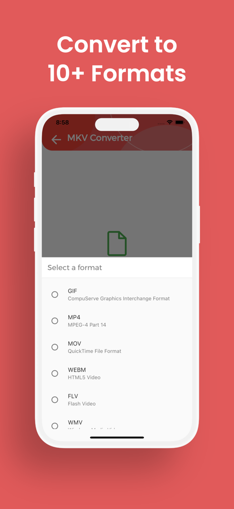 Interfaz de la app Convertidor MKV que muestra una lista de formatos de salida incluyendo MP4, MOV y GIF.