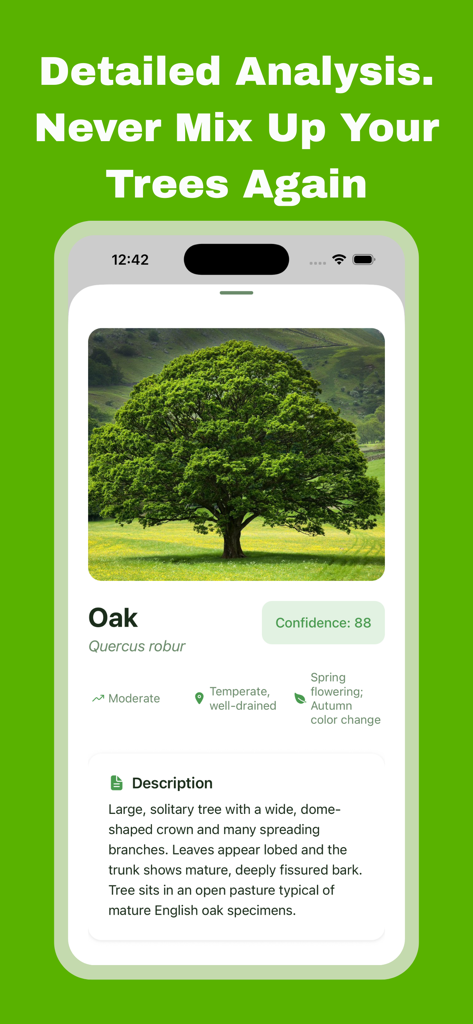 Tree Identifier: AI Scan - Una pantalla móvil que muestra un análisis detallado de IA de un roble, incluido su nombre botánico, hábitat y descripción