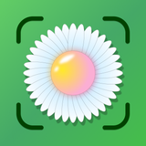 Plant Identifier & Scanner +