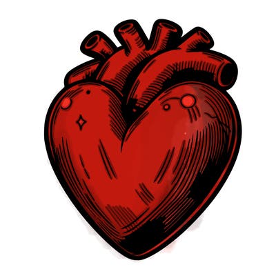 realistic heart