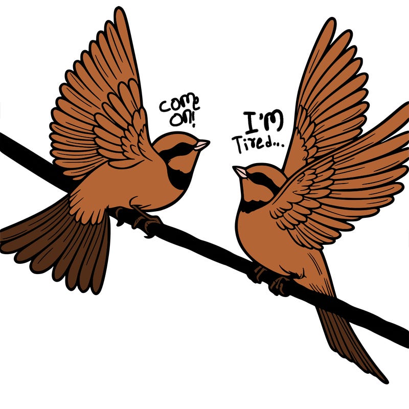 two birds on a wire one flys away realistic