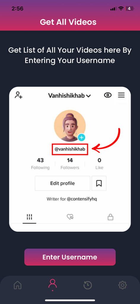 SnapTik - Tik Video Downloader - Mobile app screen showing how to enter a TikTok username to batch download videos.