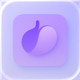 Bladder Diary & Journal