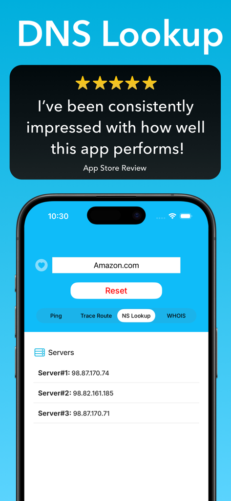 Pingers - Network Tools - Schermata di ricerca DNS dell'app Pingers che visualizza gli indirizzi IP dei server e una recensione utente a cinque stelle