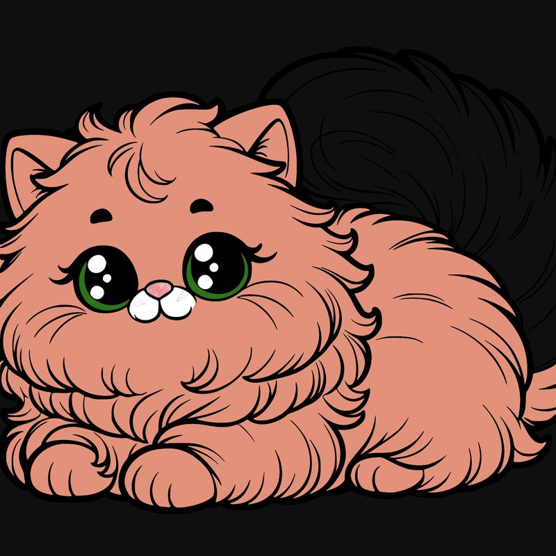 fluffy cat