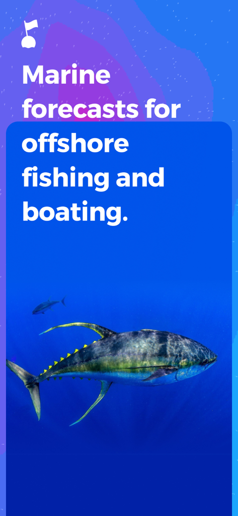 Buoyweather - Marine Forecasts - Un gran atún nadando bajo el agua con un texto que indica previsiones marinas para pesca y navegación en alta mar