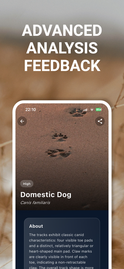Animal Track Identifier - Advanced AI analysis screen of the Animal Track Identifier app identifying a domestic dog paw print