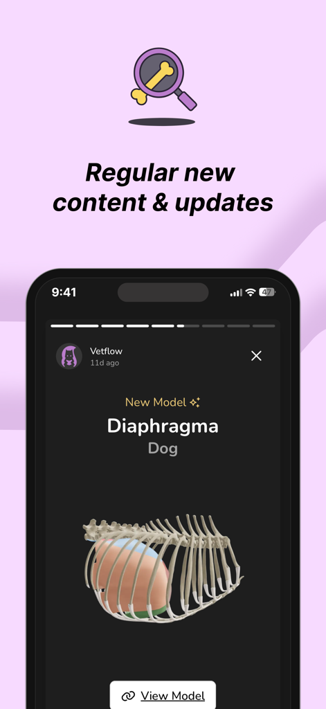 Vetflow - Learn Anatomy - Captura de pantalla de la aplicación Vetflow mostrando una notificación de un nuevo modelo 3D de un diafragma de perro con una ilustración de la caja torácica.