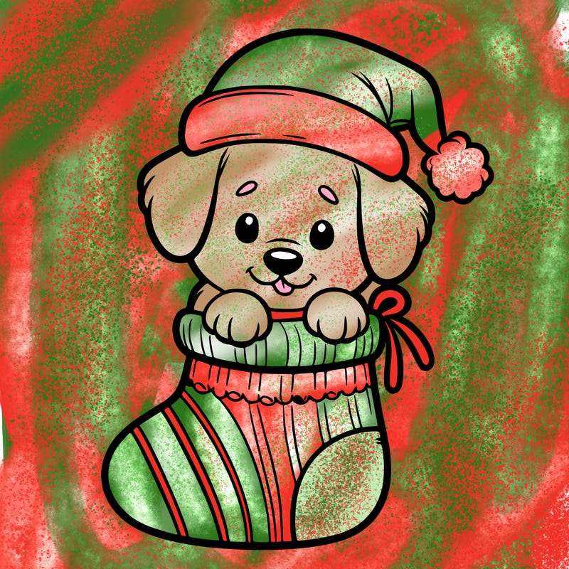 cute puppy wearing santa hat in socking