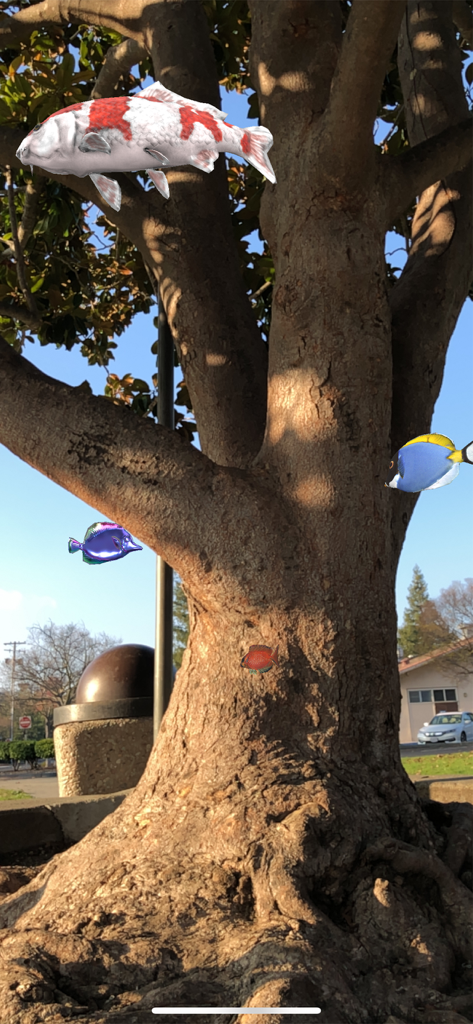Magic Fish AR - Augmented reality fish appearing around a real tree using Safari Mode