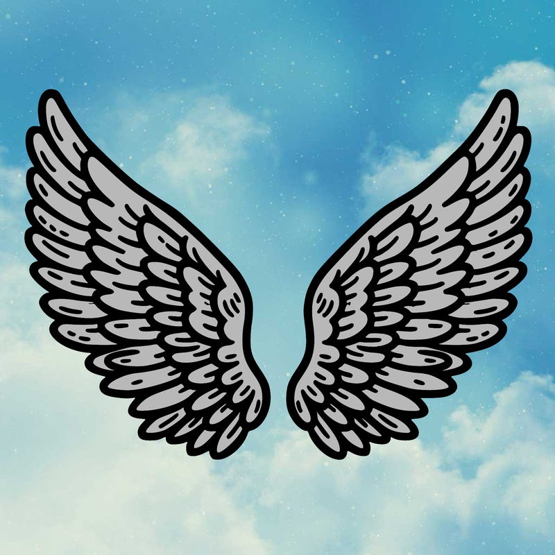 wings