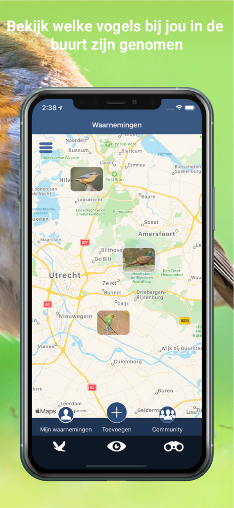 Una mappa all'interno dell'app Vogelzang Id Nederland che mostra gli avvistamenti di uccelli locali con icone fotografiche.